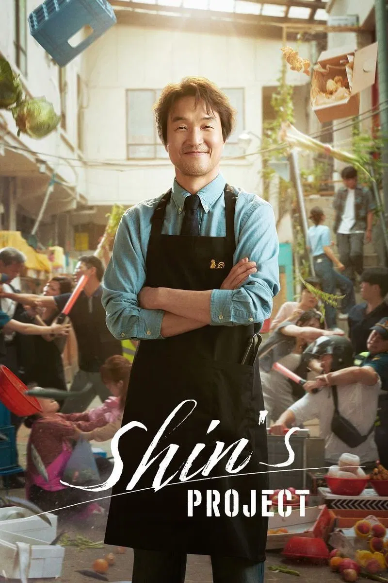 پروژه شین (Shins Project)