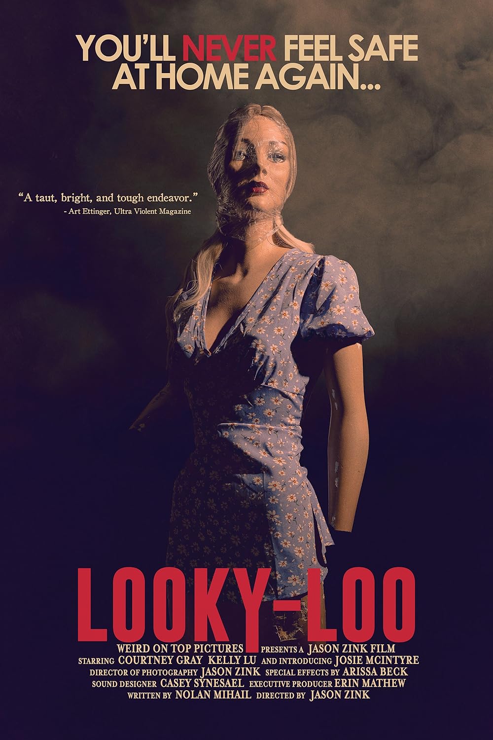 نظاره گر فضول (Looky-loo)