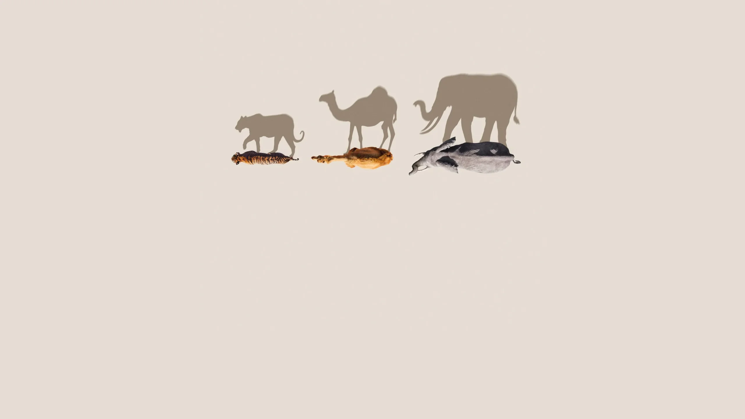 فصل 1 قسمت 1