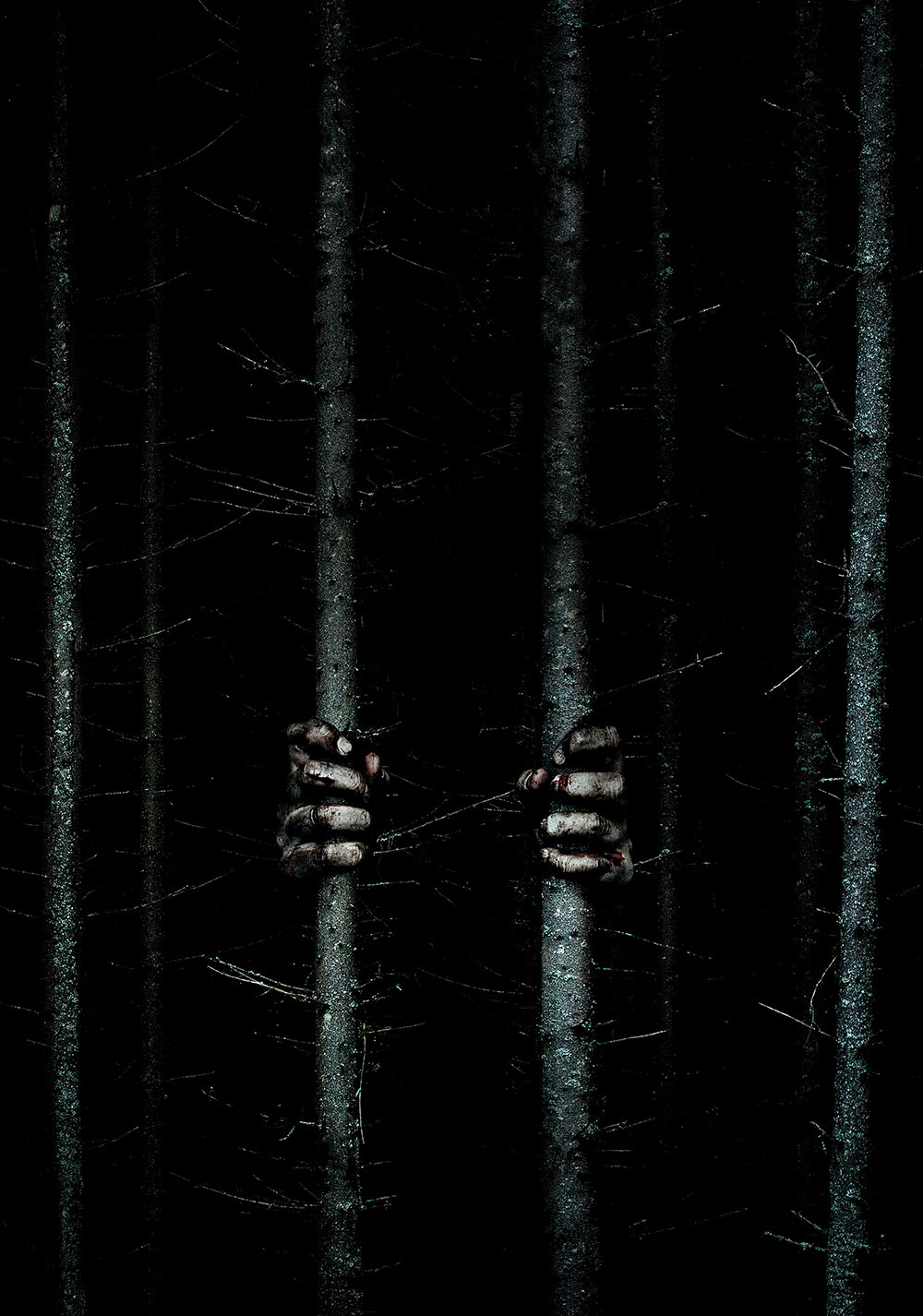 جادوگر بلر (Blair Witch)