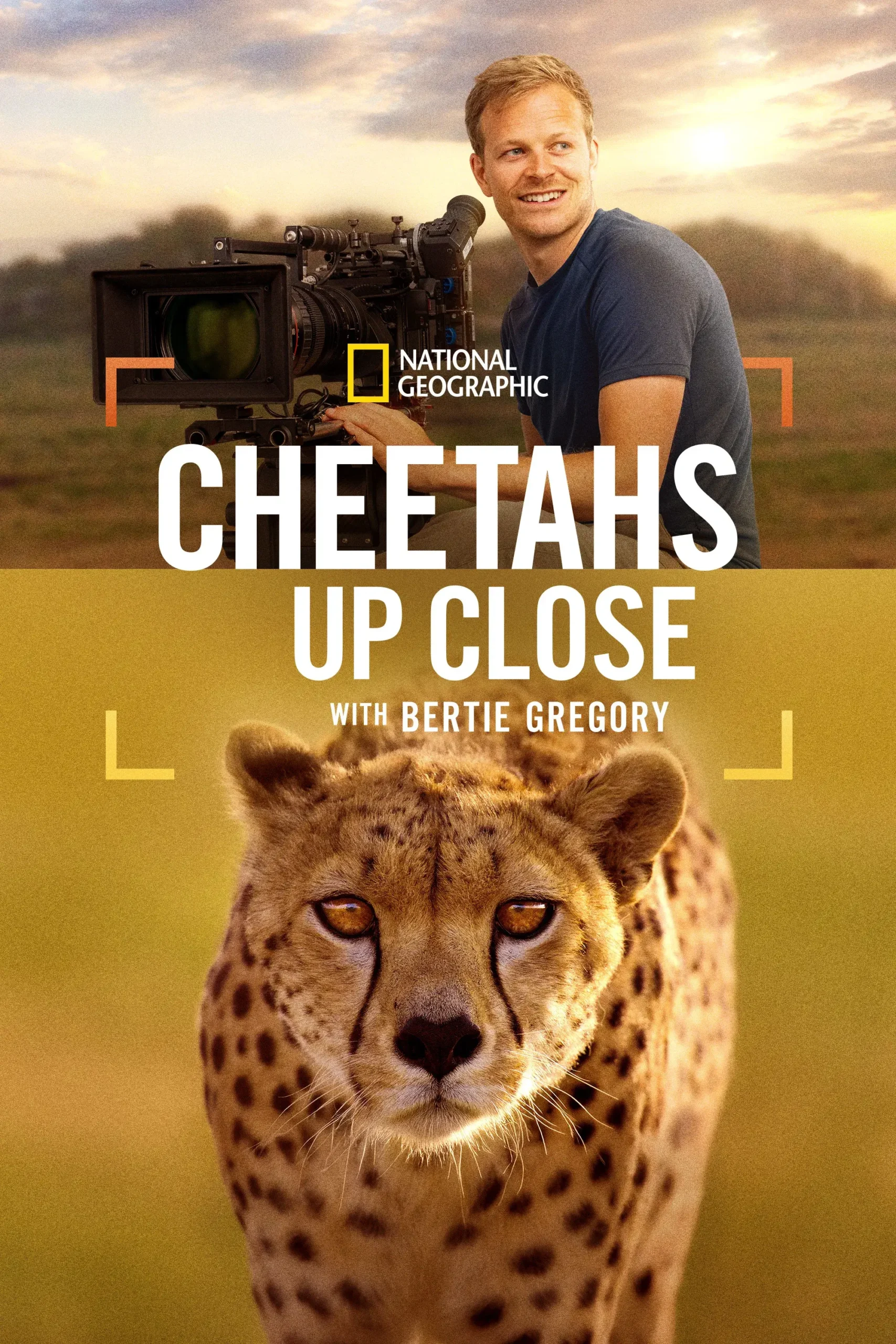 چیتاها از نزدیک با برتی گرگوری (Cheetahs Up Close with Bertie Gregory)